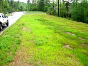 Irrigation Design And What You Should Know About Sprinklers