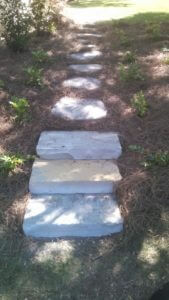 stone walkway weed control